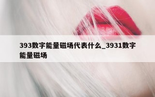 393 数字能量磁场代表什么_3931 数字能量磁场