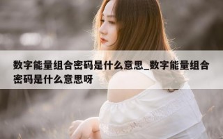 数字能量组合密码是什么意思_数字能量组合密码是什么意思呀