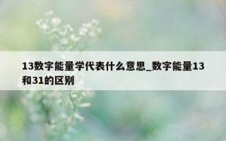 13 数字能量学代表什么意思_数字能量 13 和 31 的区别