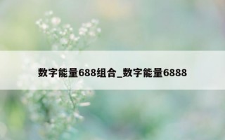 数字能量 688 组合_数字能量 6888