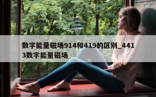 数字能量磁场 914 和 419 的区别_4413 数字能量磁场