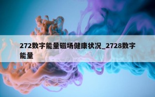 272 数字能量磁场健康状况_2728 数字能量