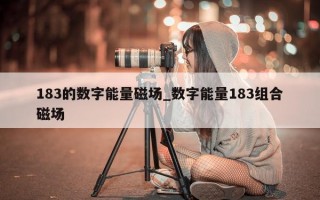 183 的数字能量磁场_数字能量 183 组合磁场