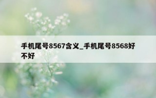 手机尾号 8567 含义_手机尾号 8568 好不好