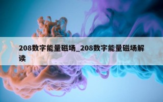 208 数字能量磁场_208 数字能量磁场解读