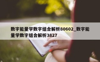 数字能量学数字组合解析 80602_数字能量学数字组合解析 3827