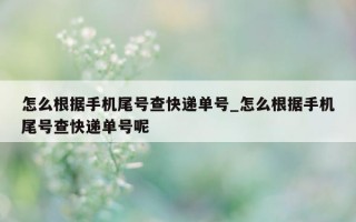 怎么根据手机尾号查快递单号_怎么根据手机尾号查快递单号呢