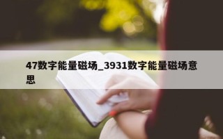 47 数字能量磁场_3931 数字能量磁场意思