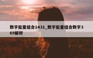 数字能量组合 1431_数字能量组合数字 369 解析