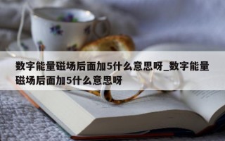 数字能量磁场后面加 5 什么意思呀_数字能量磁场后面加 5 什么意思呀