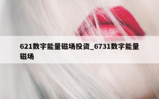 621 数字能量磁场投资_6731 数字能量磁场