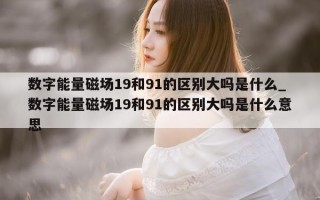 数字能量磁场 19 和 91 的区别大吗是什么_数字能量磁场 19 和 91 的区别大吗是什么意思