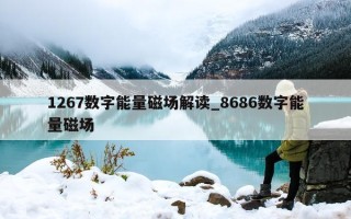 1267 数字能量磁场解读_8686 数字能量磁场