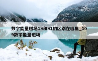 数字能量磁场 19 和 91 的区别在哪里_109 数字能量磁场