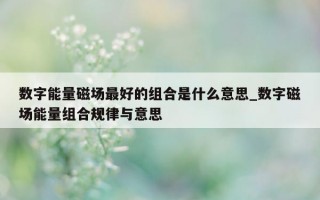 数字能量磁场最好的组合是什么意思_数字磁场能量组合规律与意思