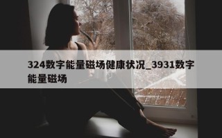 324 数字能量磁场健康状况_3931 数字能量磁场