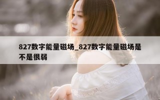 827 数字能量磁场_827 数字能量磁场是不是很弱