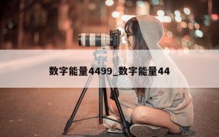 数字能量 4499_数字能量 44