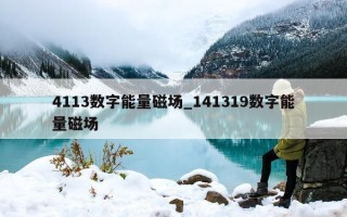 4113 数字能量磁场_141319 数字能量磁场