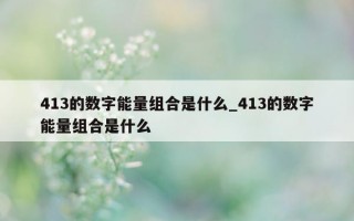 413 的数字能量组合是什么_413 的数字能量组合是什么