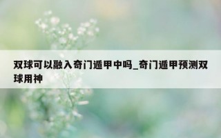 双球可以融入奇门遁甲中吗_奇门遁甲预测双球用神