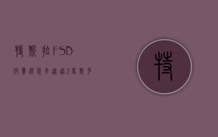 特斯拉 FSD 付费选装率远超 2%！马斯克：实际数据超出预期