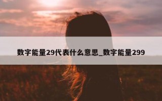 数字能量 29 代表什么意思_数字能量 299