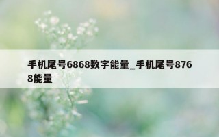 手机尾号 6868 数字能量_手机尾号 8768 能量