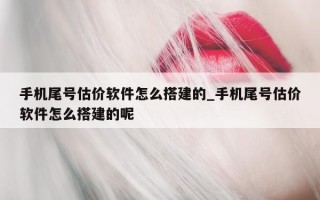 手机尾号估价软件怎么搭建的_手机尾号估价软件怎么搭建的呢