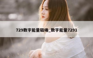 729 数字能量磁场_数字能量 7291