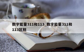 数字能量 311 和 113_数字能量 311 和 113 区别