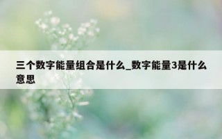 三个数字能量组合是什么_数字能量 3 是什么意思