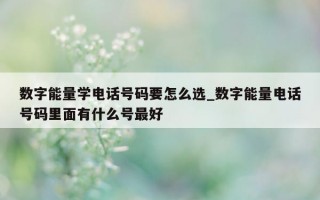 数字能量学电话号码要怎么选_数字能量电话号码里面有什么号最好