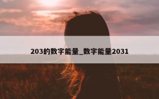 203 的数字能量_数字能量 2031