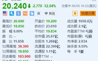 C3.ai 一度跌超 18% 第一财季订阅收入及全年营收指引均不及预期