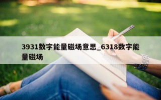 3931 数字能量磁场意思_6318 数字能量磁场