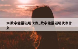 16 数字能量磁场代表_数字能量磁场代表什么