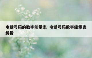 电话号码的数字能量表_电话号码数字能量表解析