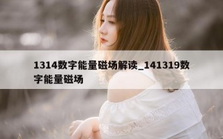 1314 数字能量磁场解读_141319 数字能量磁场