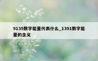 9135 数字能量代表什么_1391 数字能量的含义