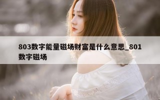 803 数字能量磁场财富是什么意思_801 数字磁场