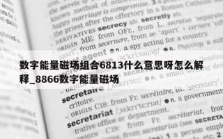 数字能量磁场组合 6813 什么意思呀怎么解释_8866 数字能量磁场