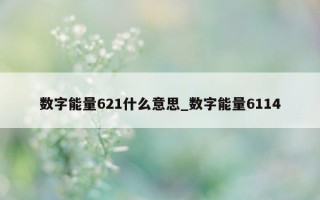 数字能量 621 什么意思_数字能量 6114