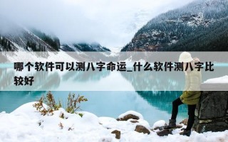 哪个软件可以测八字命运_什么软件测八字比较好