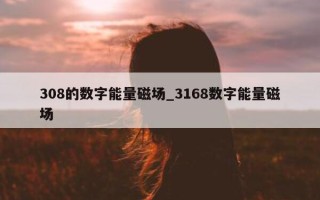 308 的数字能量磁场_3168 数字能量磁场