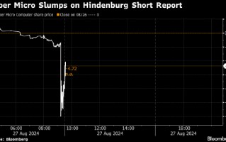 超微电脑股价大跌 因 Hindenburg 发布做空报告
