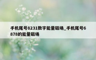 手机尾号 8231 数字能量磁场_手机尾号 6878 的能量磁场