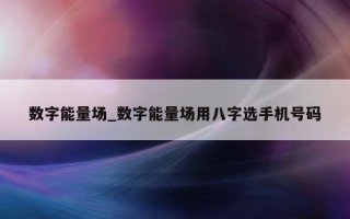 数字能量场_数字能量场用八字选手机号码