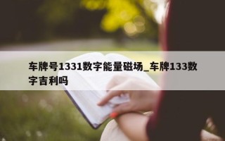 车牌号 1331 数字能量磁场_车牌 133 数字吉利吗