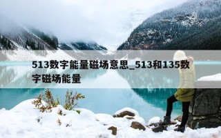 513 数字能量磁场意思_513 和 135 数字磁场能量